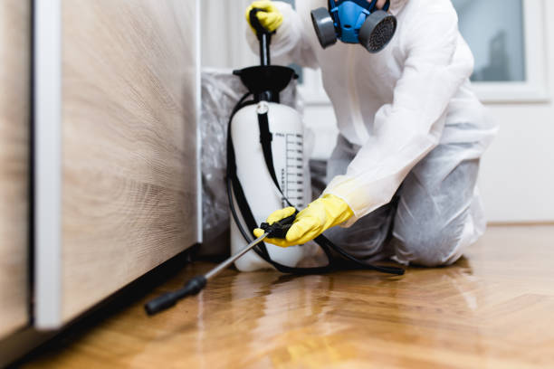 Best Local Pest Control Services  in Pascoag, RI