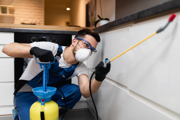 Best Wildlife Control Services  in Pascoag, RI