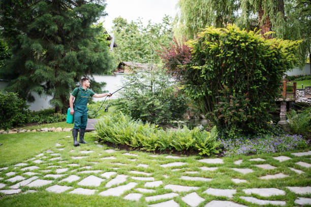 Best Pest Control for Businesses  in Pascoag, RI