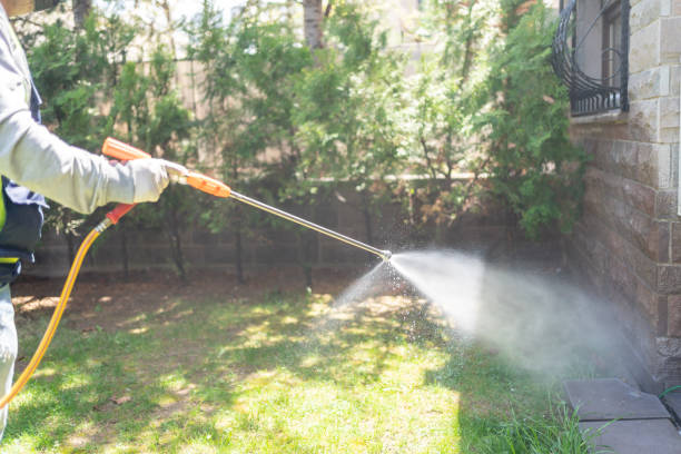 Best Pest Control Near Me in Pascoag, RI