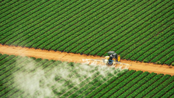 Best Ant Control Services  in Pascoag, RI