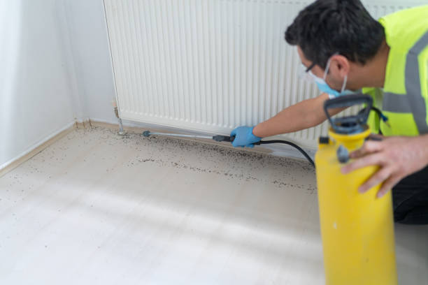 Best Wasp Removal Services  in Pascoag, RI